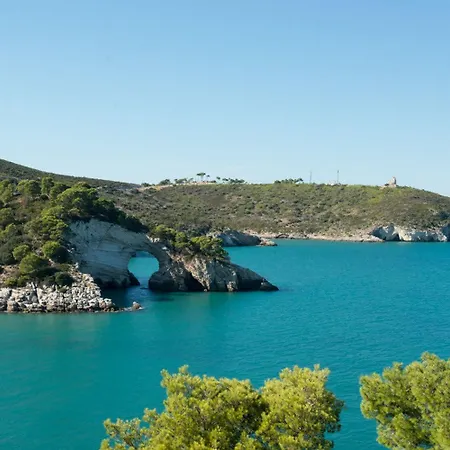 ホテル ピッツオムンノ パレス ヴィエステ