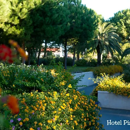 ホテル ピッツオムンノ パレス ヴィエステ