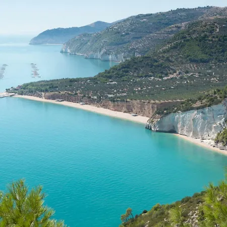 ピッツオムンノ パレス 5*