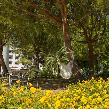 ピッツオムンノ パレス